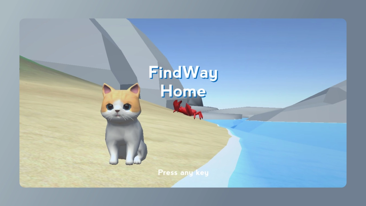 Find Way Home